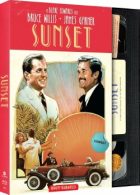 sunset-retro-vhs-blu-ray dvd cover art