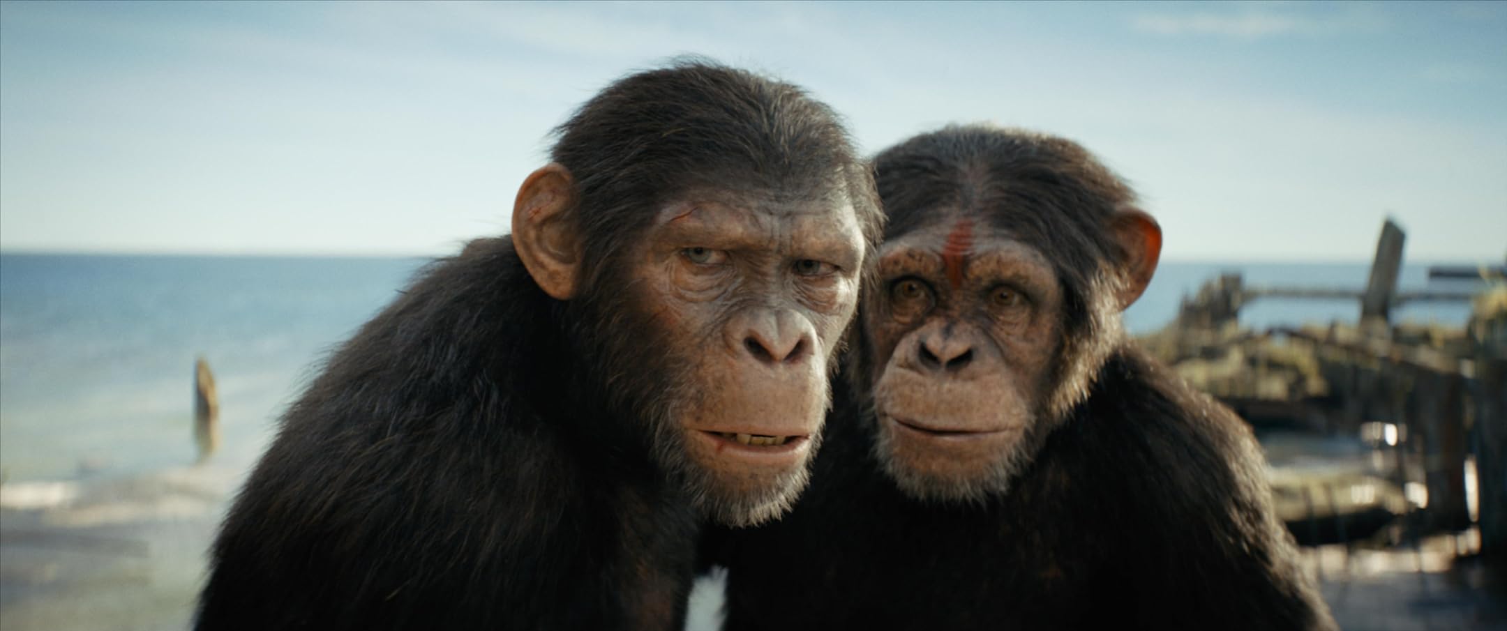 Jeremy Butler Reviews Kingdom Of The Planet Of The Apes